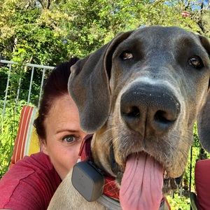 Meet your Posher, Llisa